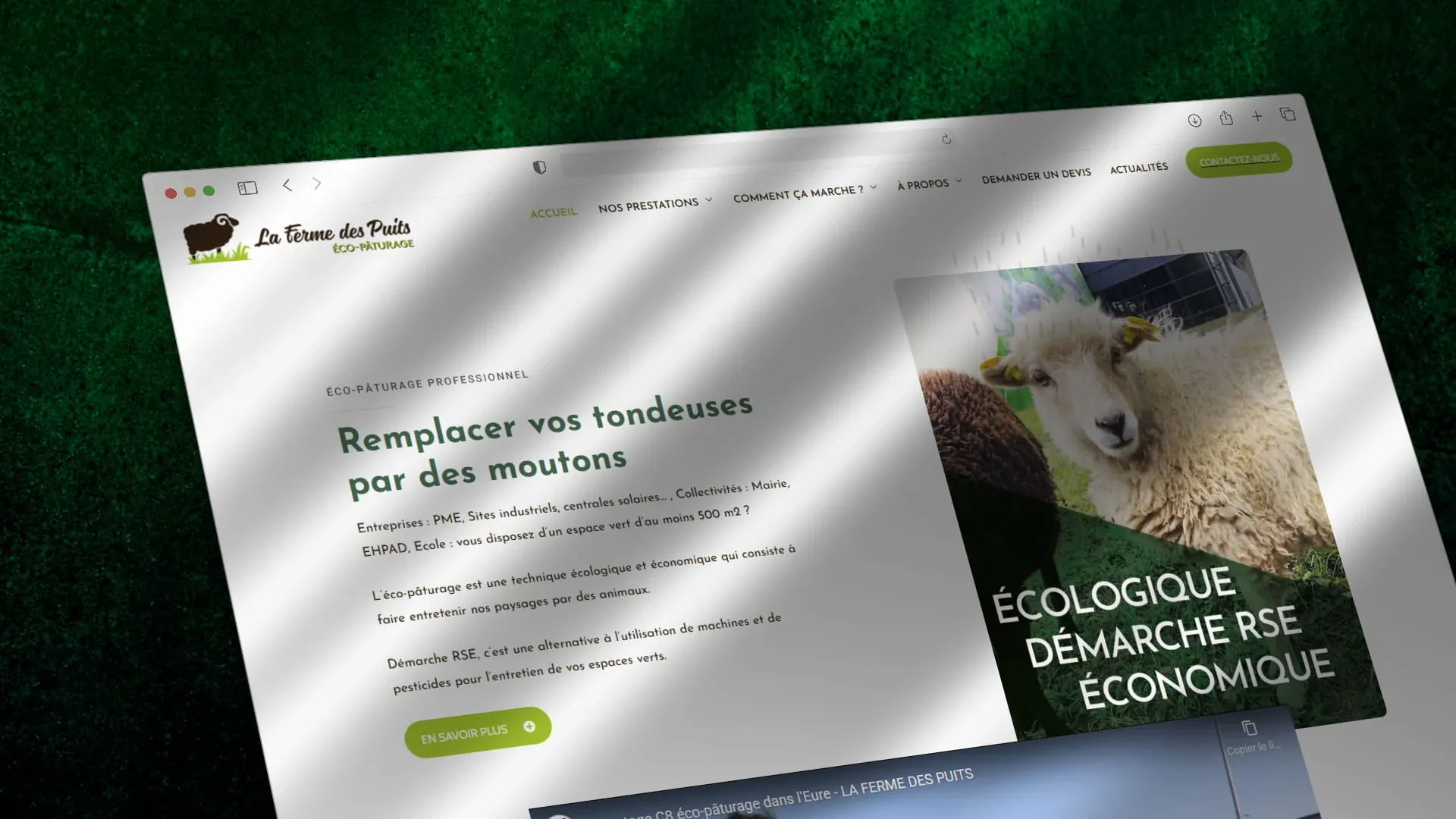 Ferme des Puits — Branding
