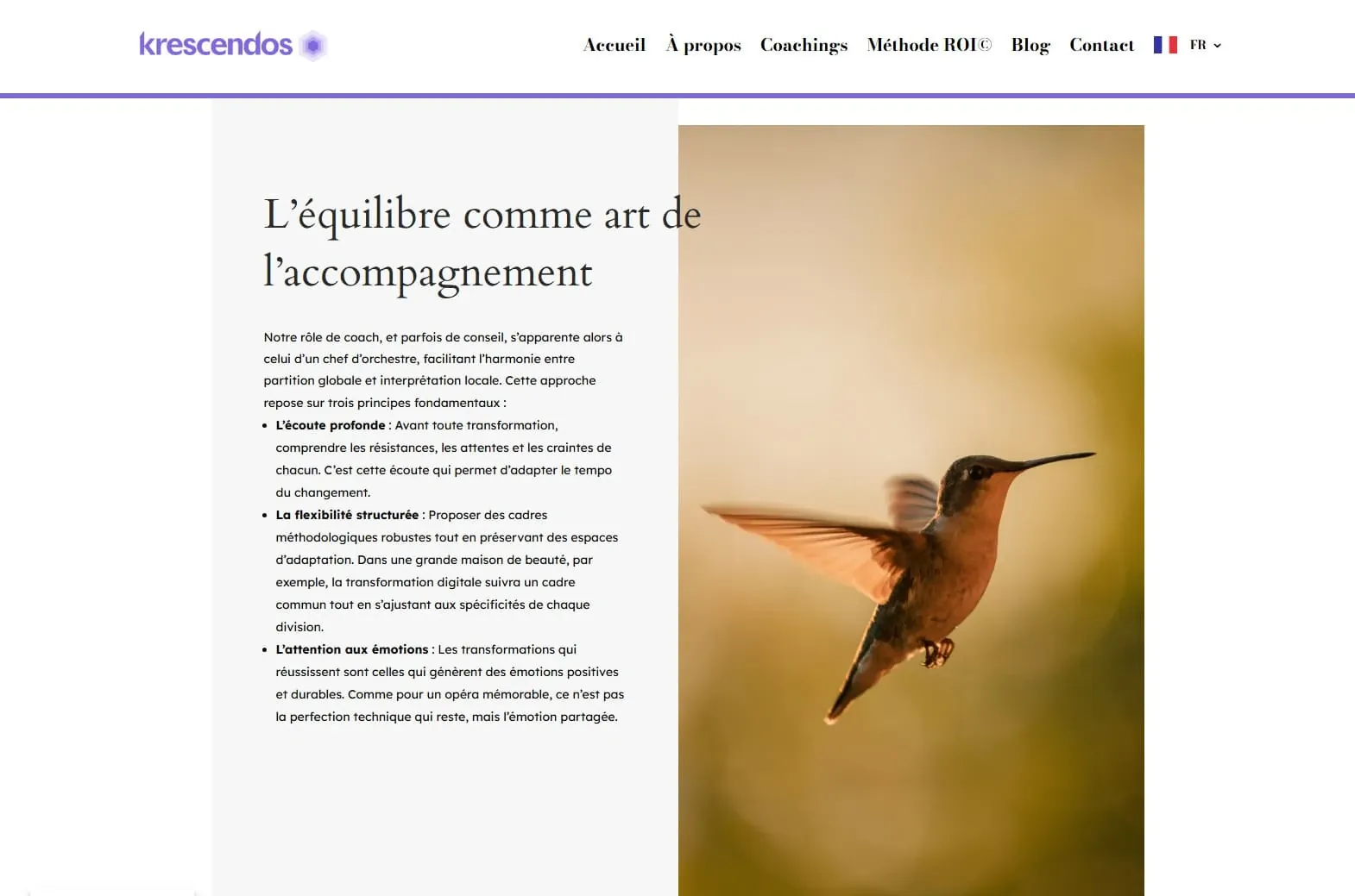 Krescendos — Site web, visuel 4