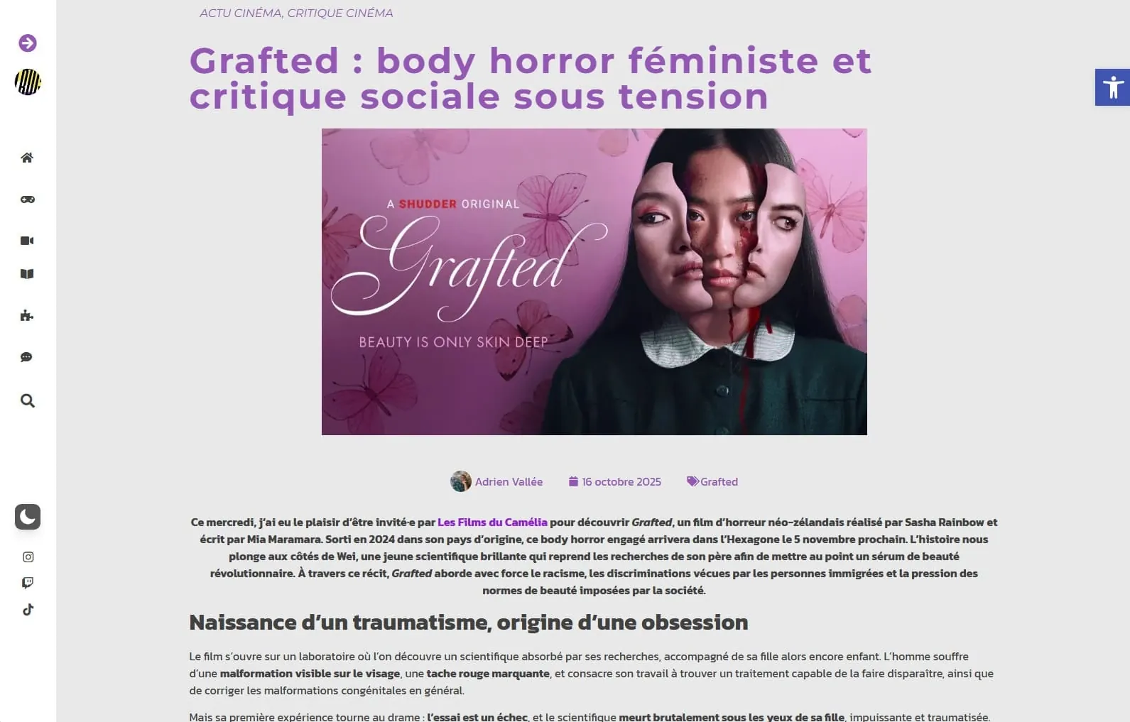 La Revue d'Geek — Site web, visuel 4