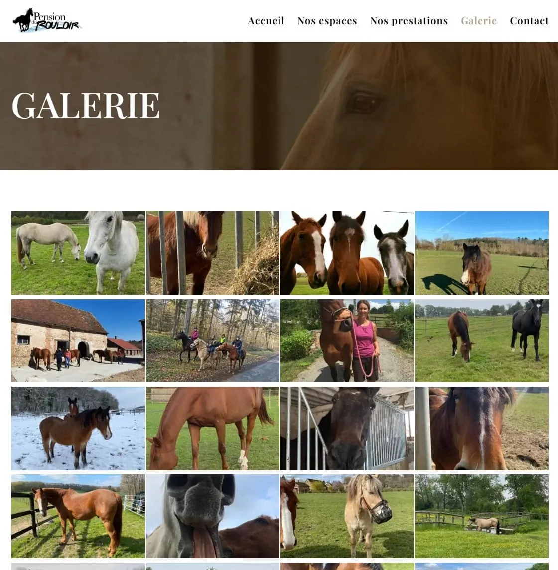 Pension du Rouloir — Site web, visuel 4